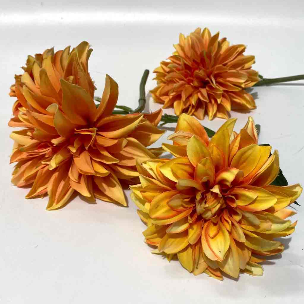 FLOWER, Dahlia - Orange Yellow